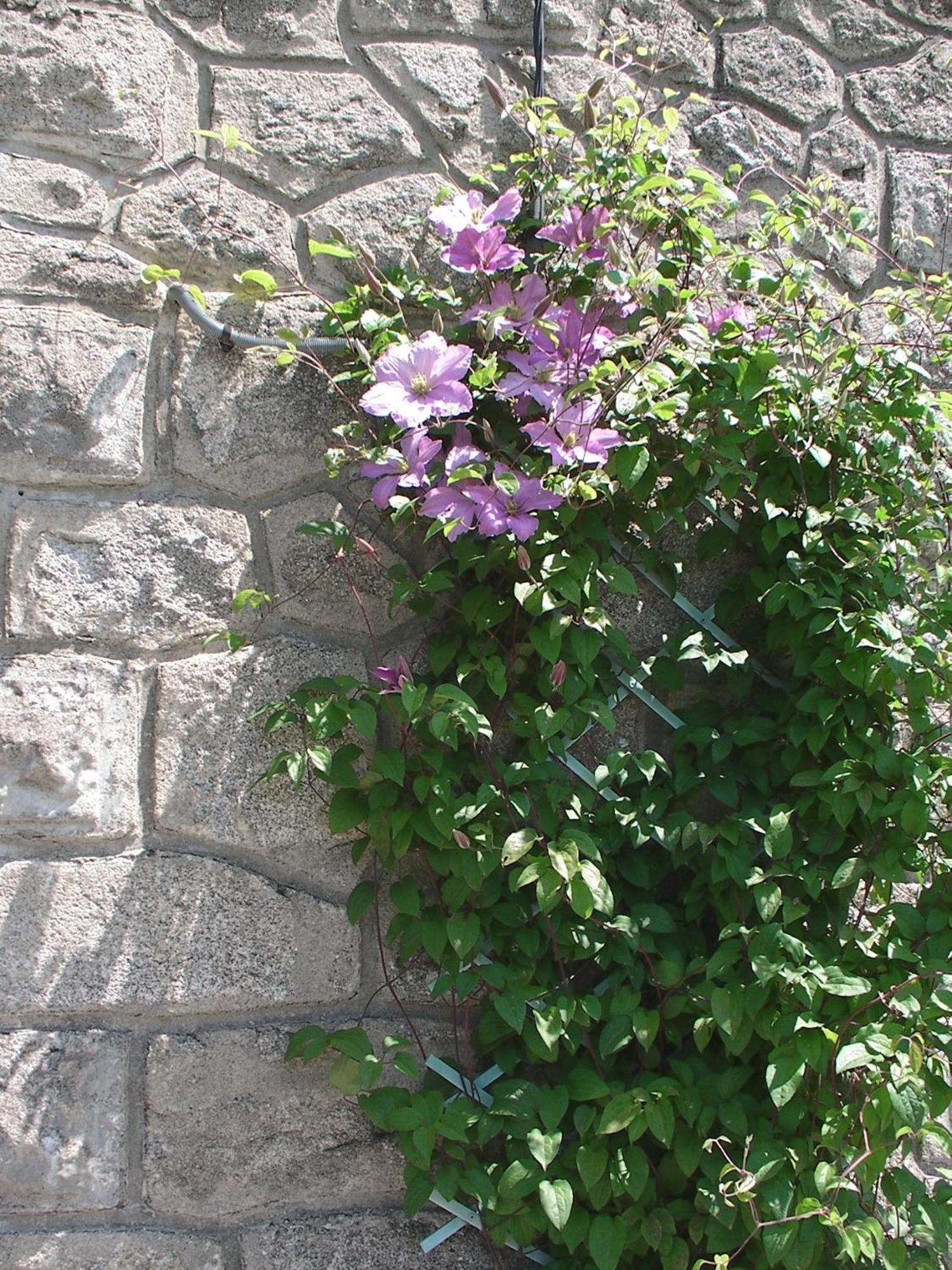 Frühstückspension Maison Chabrat